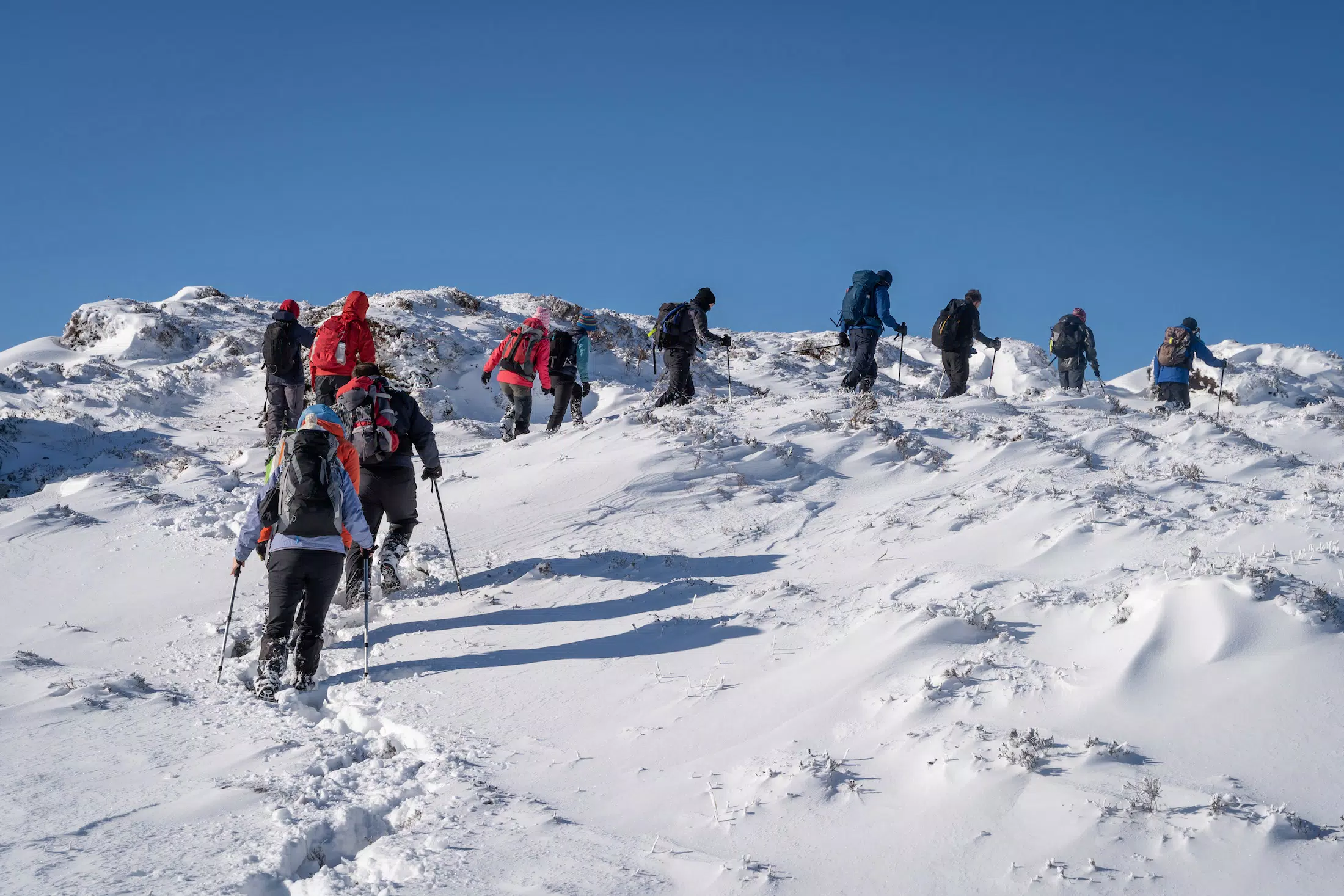 Mt Kilimanjaro Trek - Machame Route 7 Days