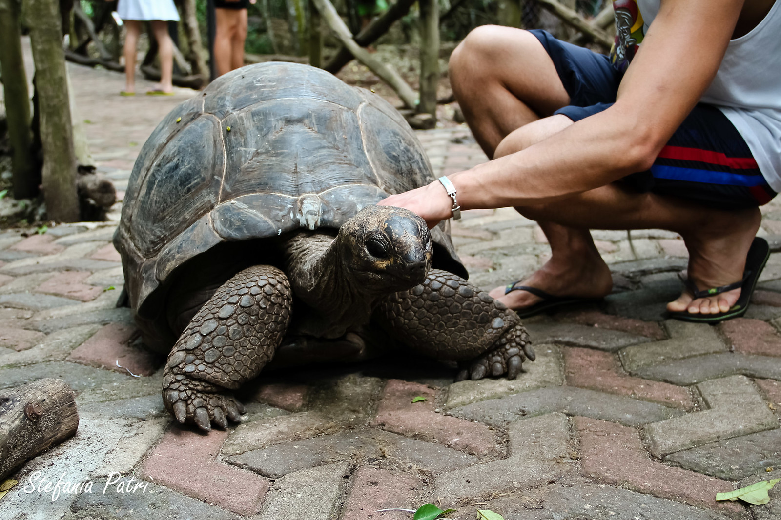 6 Days Zanzibar Tour