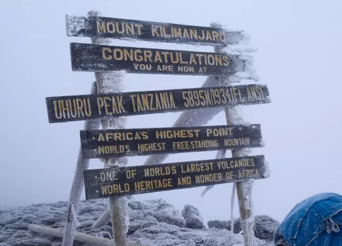 Mt Kilimanjaro Trek - Rongai Route 7 Days