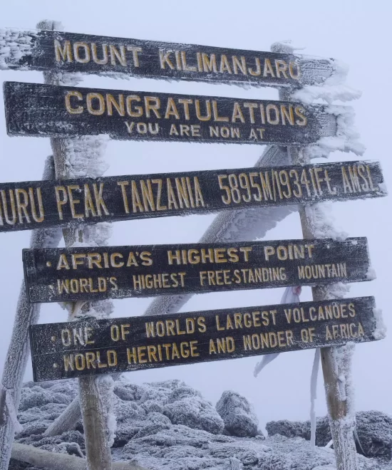 Mt Kilimanjaro Trek - Rongai Route 7 Days