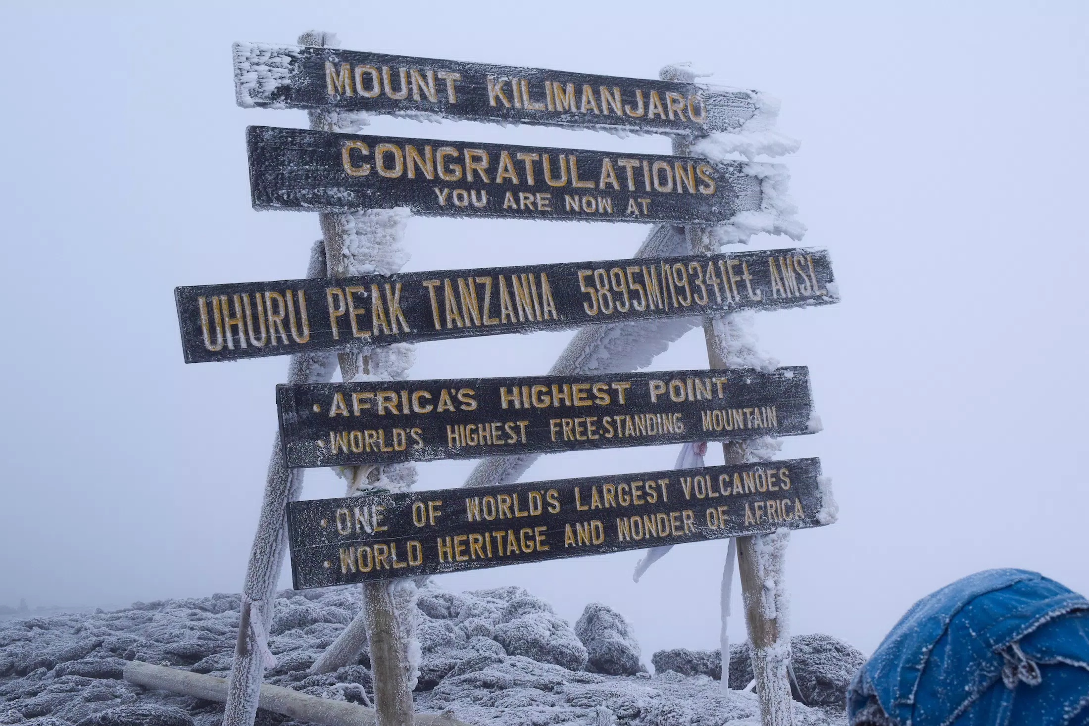 Mt Kilimanjaro Trek - Rongai Route 7 Days