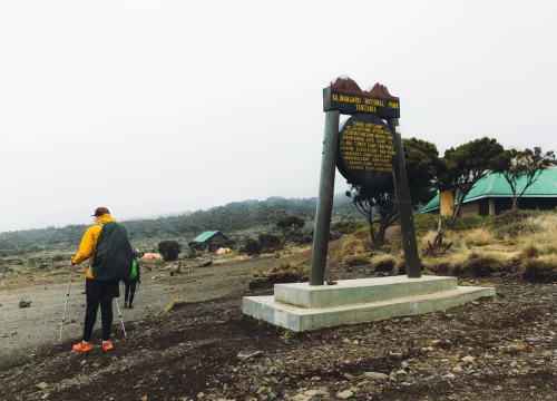 Mt Kilimanjaro Trek - Lemosho Route 8 Days