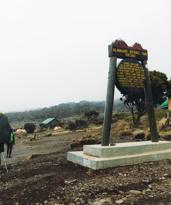 Mt Kilimanjaro Trek - Lemosho Route 8 Days