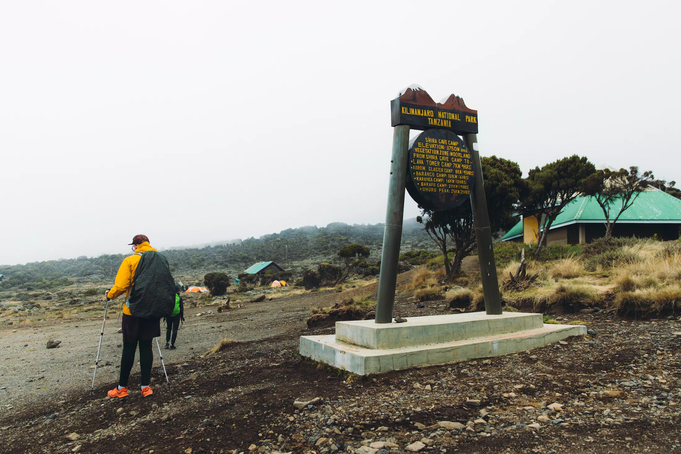 Mt Kilimanjaro Trek - Lemosho Route 8 Days