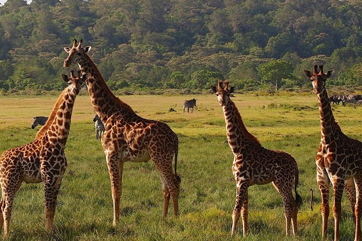 9 days Tanzania safari vacation